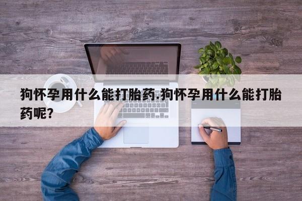 私人卖流产药的联系方式狗怀孕用什么能打胎药.狗怀孕用什么能打胎药呢？