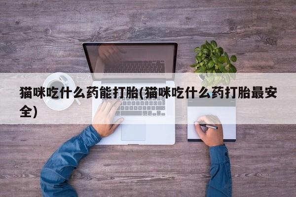 私人卖流产药的联系方式猫咪吃什么药能打胎(猫咪吃什么药打胎最安全)