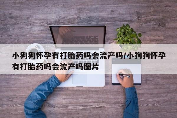 私人卖流产药的联系方式小狗狗怀孕有打胎药吗会流产吗/小狗狗怀孕有打胎药吗会流产吗图片