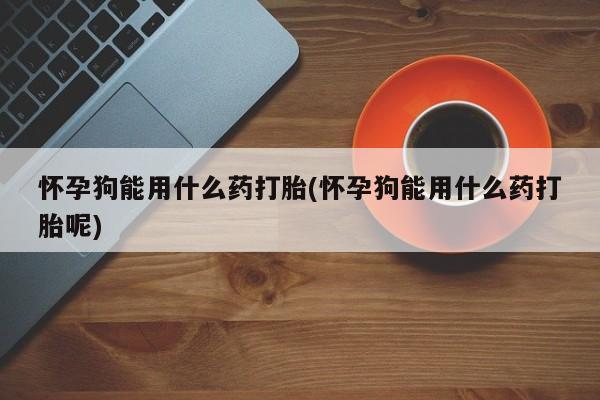 私人卖流产药的联系方式怀孕狗能用什么药打胎(怀孕狗能用什么药打胎呢)